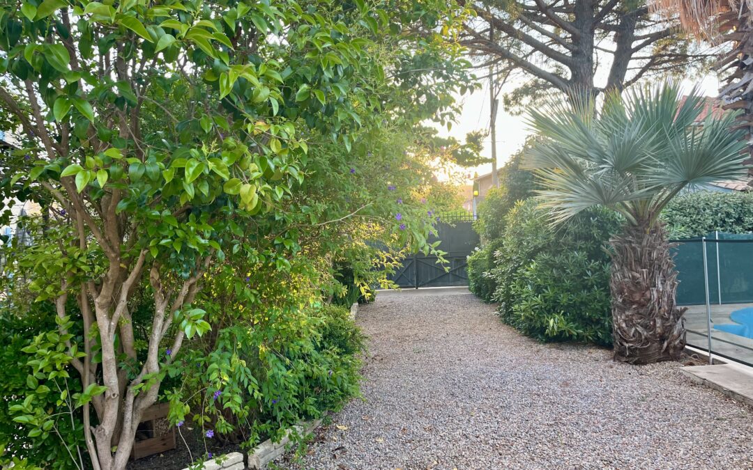 🌿Une journée dans les coulisses du Colibri Bleu🏡