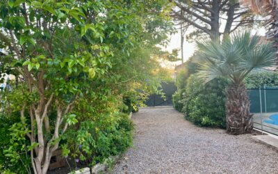 🌿Une journée dans les coulisses du Colibri Bleu🏡