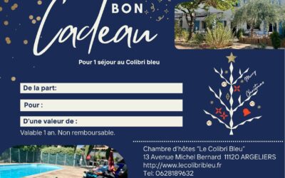 𝙇𝙚 𝘾𝙤𝙡𝙞𝙗𝙧𝙞 𝘽𝙡𝙚𝙪 𝙩𝙧𝙖𝙣𝙨𝙛𝙤𝙧𝙢𝙚 𝙩𝙤𝙣 “𝙟𝙚 𝙨𝙖𝙫𝙖𝙞𝙨 𝙥𝙖𝙨 𝙦𝙪𝙤𝙞 𝙤𝙛𝙛𝙧𝙞𝙧” 𝙚𝙣 “𝙢𝙚𝙞𝙡𝙡𝙚𝙪𝙧 𝙘𝙖𝙙𝙚𝙖𝙪 𝙙𝙚 𝙡’𝙖𝙣𝙣𝙚́𝙚 !”