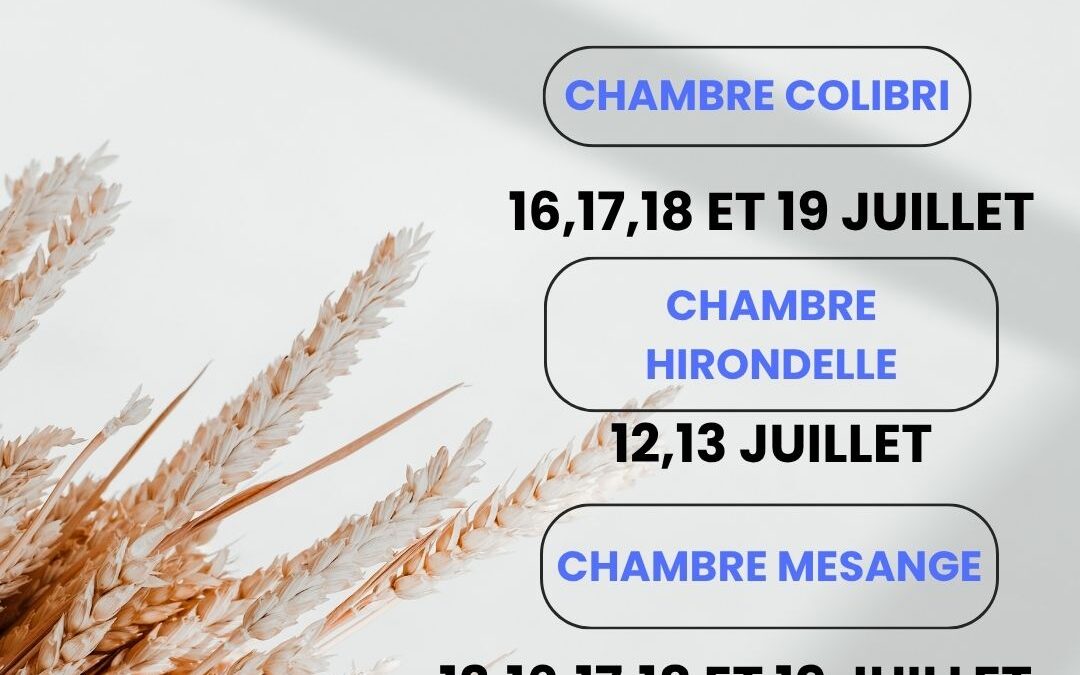 ✨ Et si vos prochaines vacances commençaient… la semaine prochaine ? 🌿💙