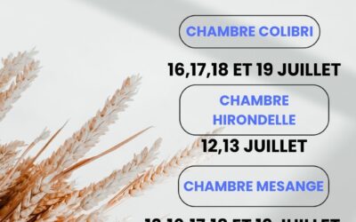 ✨ Et si vos prochaines vacances commençaient… la semaine prochaine ? 🌿💙