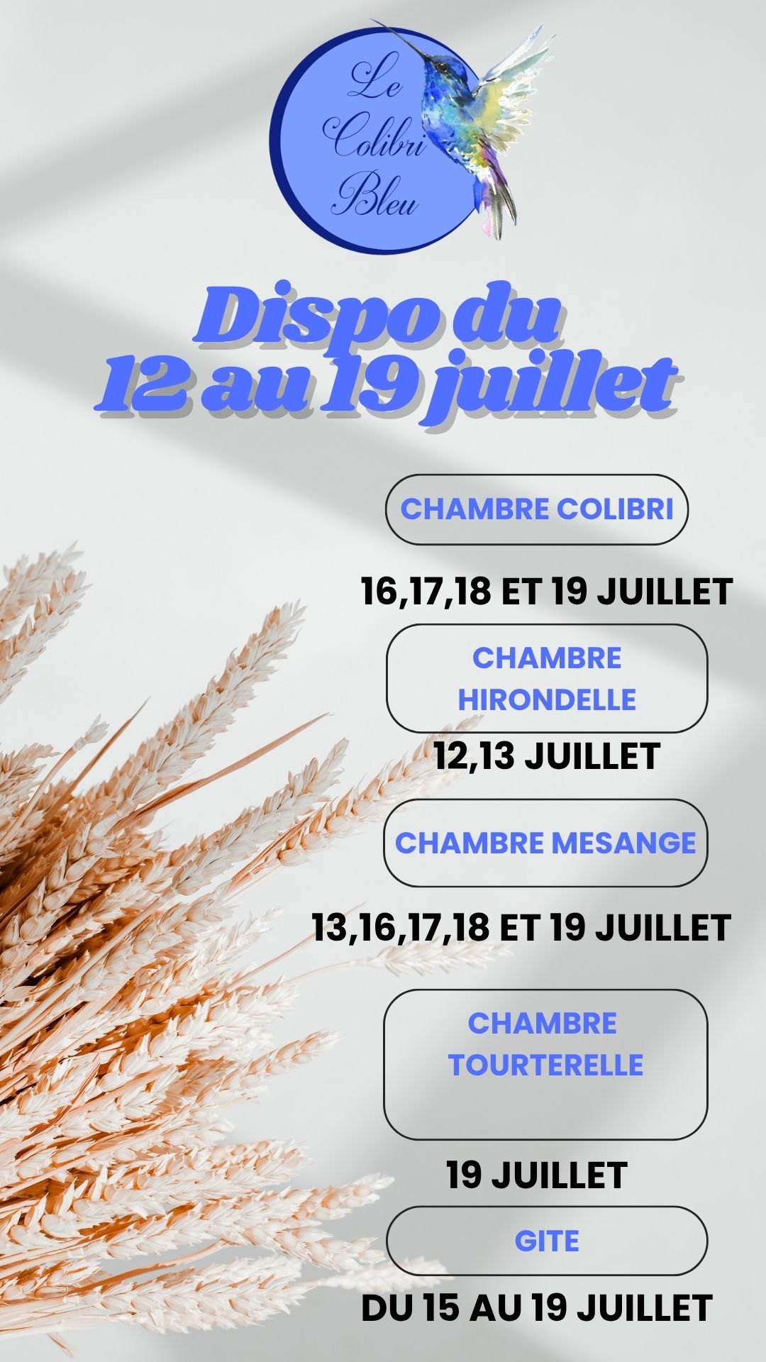 Story planning disponibilité salon simple blanc DERNIERES DISPONIBILITES